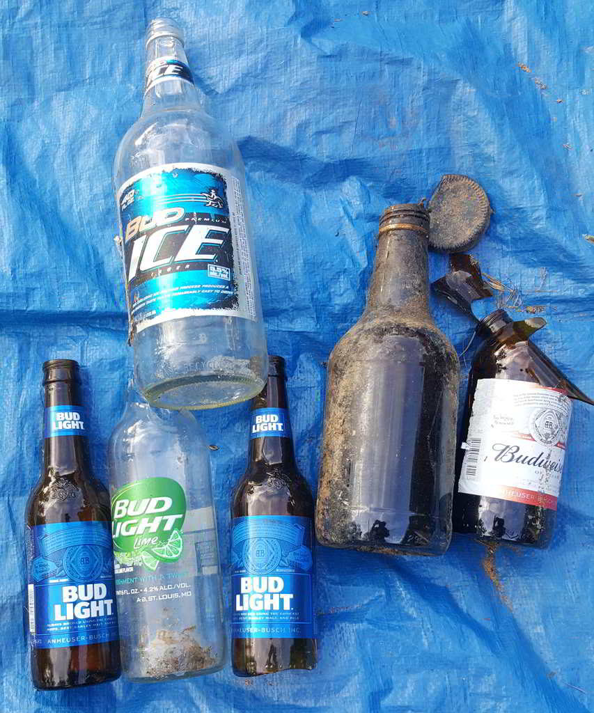 Glass beer bottles.