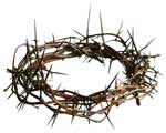 crown_of_thorns