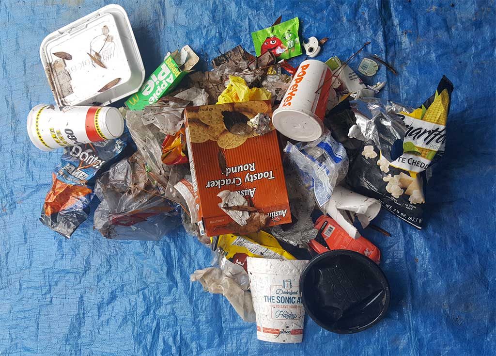 Household trash, Augusta, Georgia, Litter