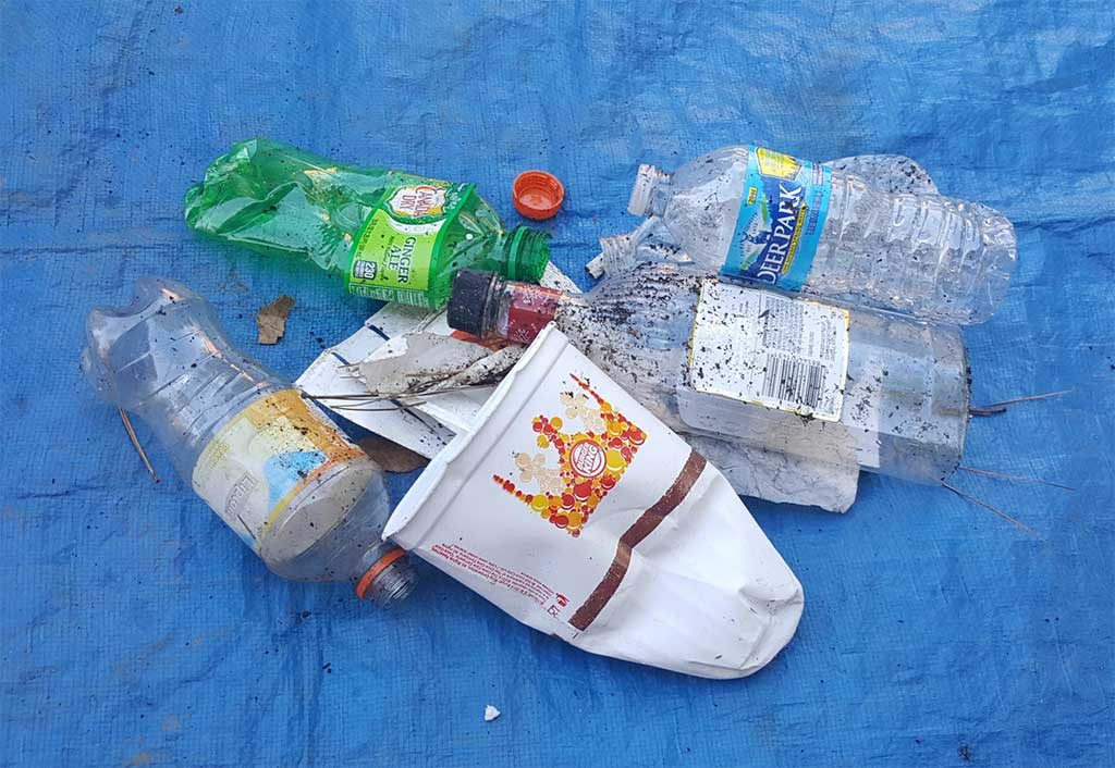Washington Road, Litter, Augusta, Georgia, Plastic debris