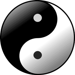 No such thing as yin and yang